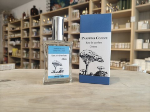 cathedrale de grasse